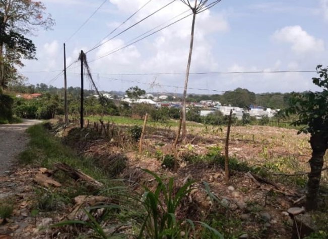 VENTA DE FINCA, LIMÓN, MOIN, LOMA LINDA en Guápiles, Pococí, Limón — $500,000