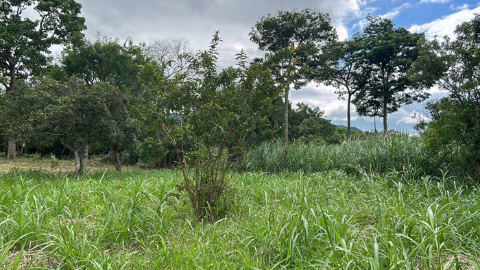 VENTA TERRENO DESARROLLO ALTA DENSIDAD, ESCAZU, SAN RAFAEL in San Rafael, Escazú, San José — $1,600,000 - Photo 3 of 10