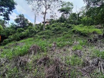 Se vende lote de más de 4600 m2 en Mora Colón 26-1801 en Colón, Mora, San José — 96 000 000 ₡ - Foto 5 de 20