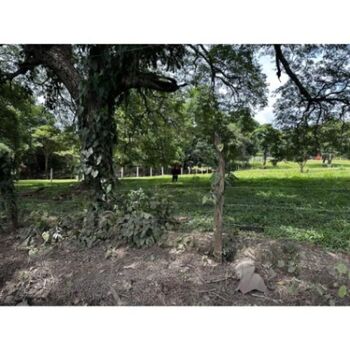 Land For Sale Turrúcares, Alajuela, Alajuela