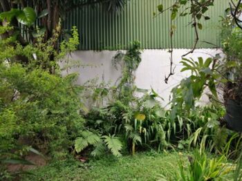 Lote cerca UCR en Guadalupe, Goicoechea, San José — 160 000 000 ₡ - Foto 4 de 8