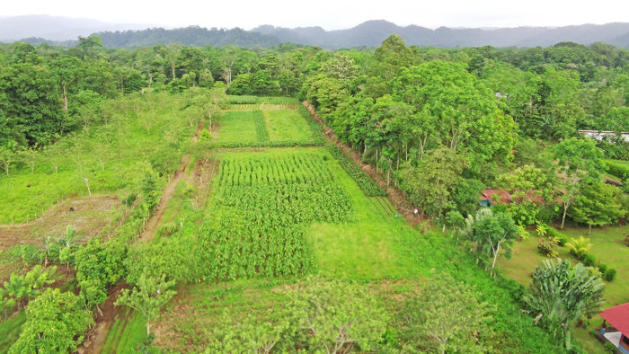 Propiedad con Potencial Turístico y Río Cerca de La Fortuna en La Fortuna, San Carlos, Alajuela — $250,000 - Foto 2 de 20