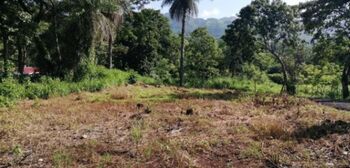 LOTE DE 621M EN ESCOBAL en Escobal, Atenas, Alajuela — 25 000 000 ₡ - Foto 4 de 5