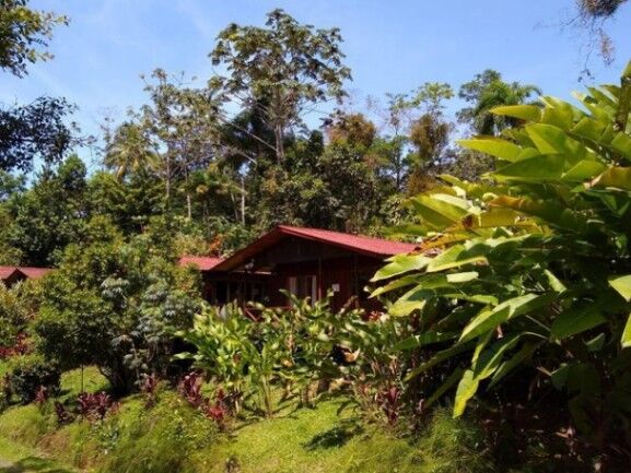 Se vende amplio hotel con 9 hectáreas de lote en San Ramon Alajuela 24-671 en Peñas Blancas, San Ramón, Alajuela — $7,278,000