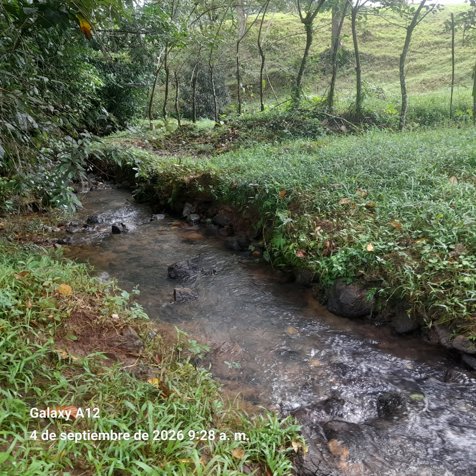 Finca para ganadería y agricultura. en Bijagua, Upala, Alajuela — ₡ 130 000 000