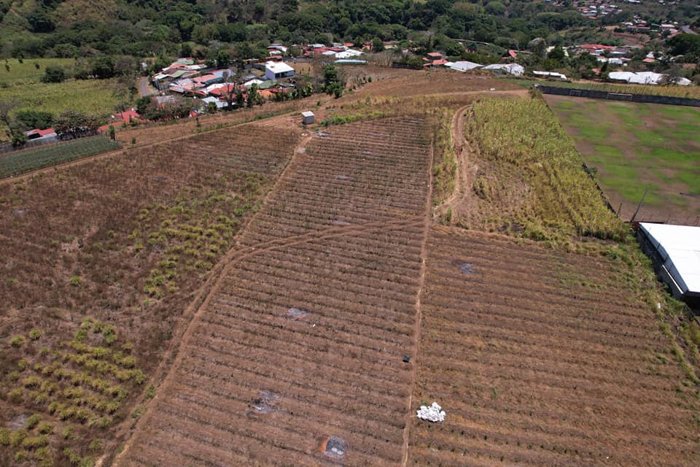 Large Flat Property in Tacares - Perfect for Development en Grecia, Alajuela — ₡ 495 000 000