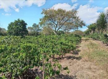 Land For Sale San Pedro, Santa Bárbara, Heredia