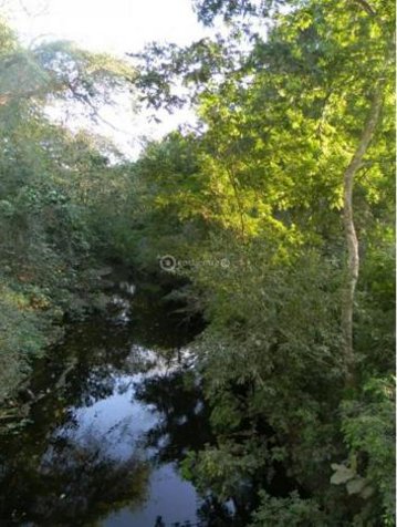 Venta Finca de 20 Ha carretera a Bajamar Orotina en La Ceiba, Orotina, Alajuela — $1,000,000 - Foto 2 de 6