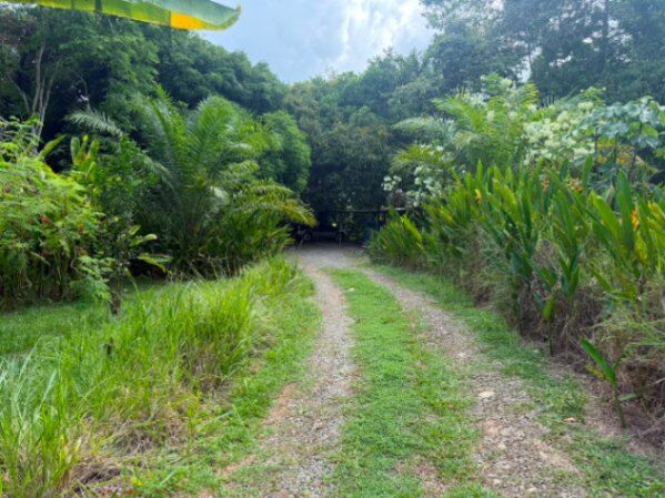 SE VENDE COMPLEJO TURISTICO CON CABINAS Y ALTO POTENCIAL DE INVERSION in Barú, Pérez Zeledón, San José — $295,000