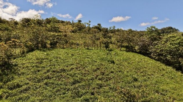VENTA DE REFUGIO NATURAL DE 3.2 HA EN LAS FALDAS DEL CHIRRIPO in El General, Pérez Zeledón, San José — $142,989