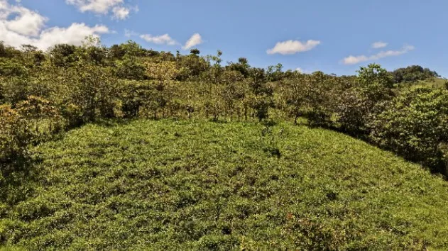 VENTA DE REFUGIO NATURAL DE 3.2 HA EN LAS FALDAS DEL CHIRRIPO in El General, Pérez Zeledón, San José — $142,989