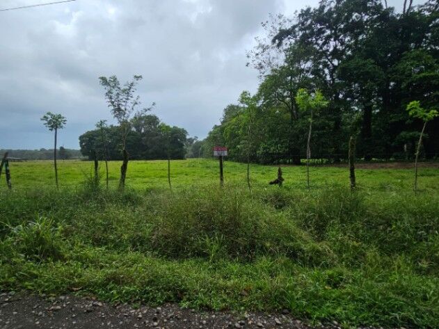 🌿 Finca de 42 hectáreas en Pococí – Naturaleza y potencial turístico en un solo lugar en Rita, Pococí, Limón — ₡ 250 000 000