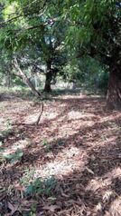 Venta de Lote en Carrillo-Belén, Guanacaste. RAH 26-1456 in Belén, Carrillo, Guanacaste — $231,500 - Photo 4 of 7
