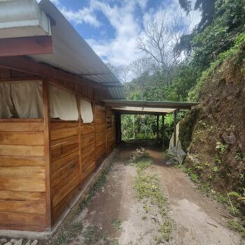 4.8 hectares de aguacate organica con cabina y vista. in Rivas, Pérez Zeledón, San José — $250,000 - Photo 5 of 13