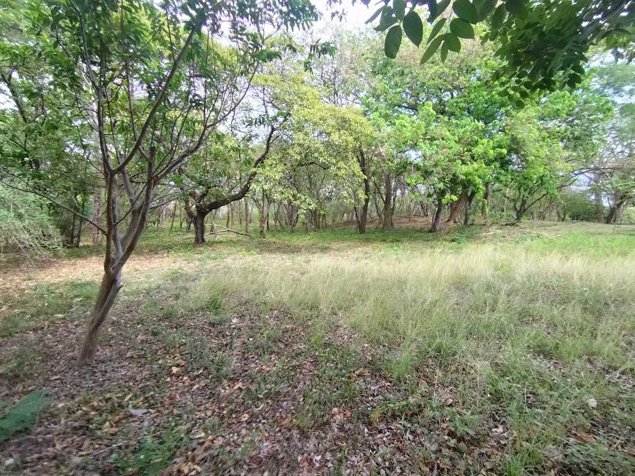Lote de 4000m2 a 5 minutos de la Playa Marbella en Cuajiniquil, Santa Cruz, Guanacaste — $185,000 - Foto 3 de 13