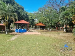 Venta Finca Palmira Cañas Guanacaste 60,7 ha en Palmira, Cañas, Guanacaste — 450 000 000 ₡ - Foto 5 de 26
