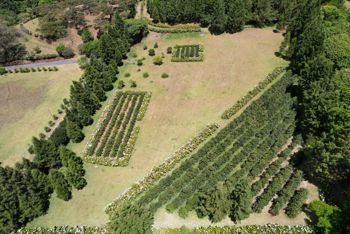 Farm For Sale In Grecia Costa Rica – 28,000 m² en San Isidro, Grecia, Alajuela — 252 000 000 ₡ - Foto 4 de 16