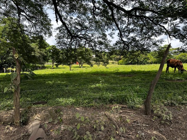 VENTA DE LOTE, ALAJUELA, ALAJUELA, TURRUCARES en Turrúcares, Alajuela — $325,000