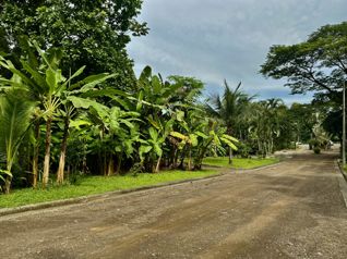 Lote en Venta en Plantation Acres – Tárcoles, Garabito, Puntarenas in Tárcoles, Garabito, Puntarenas — $250,000 - Photo 4 of 5