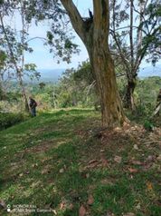 OPORTUNIDAD ÚNICA: IMPRESIONANTE FINCA EN VALLE LA ESTRELLA, LIMÓN, COSTA RICA. in Valle La Estrella, Limón — 129 000 000 ₡ - Photo 4 of 9