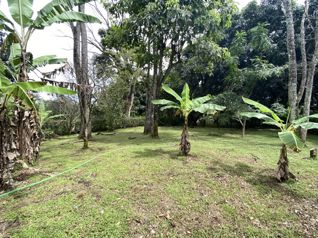 Venta de terreno en Sabana Larga de Atenas, Alajuela. in Jesús, Atenas, Alajuela — $150,000 - Photo 4 of 11