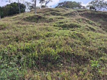 Venta de Lote en Turrialba-Cartago. RAH 26-1276 in La Suiza, Turrialba, Cartago — $80,000 - Photo 4 of 13