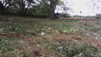 Terreno para quinta en Orotina, 6800m2 in Orotina, Alajuela — $136,000 - Photo 4 of 4