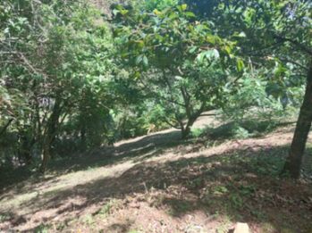 Vendo Lote en Tarbaca de Aserri in Tarbaca, Aserrí, San José — 38 000 000 ₡ - Photo 5 of 9