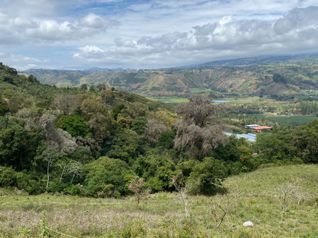 Venta de terreno en Cachí, Lago Alto in Cachí, Paraíso, Cartago — 34 000 000 ₡ - Photo 5 of 22