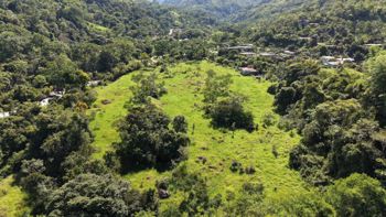 FOR SALE: 10.9 HA FARM FACING THE RIVER IN VALLE DEL CHIRRIPO, SAN FRANCISCO DE RIVAS in Rivas, Pérez Zeledón, San José — $1,230,000 - Photo 5 of 14