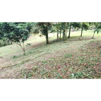 Finca en Venta La Tigra, San Carlos, Alajuela