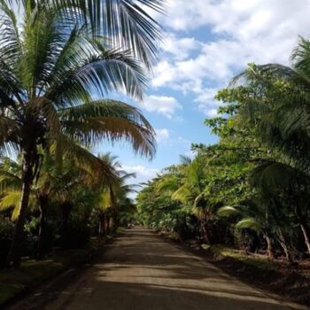 Finca en Venta Tárcoles, Garabito, Puntarenas