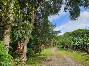 Land For Sale Quebradilla, Cartago, Cartago