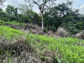 Se vende lote de más de 4600 m2 en Mora Colón 26-1801 en Colón, Mora, San José — 96 000 000 ₡ - Foto 4 de 20