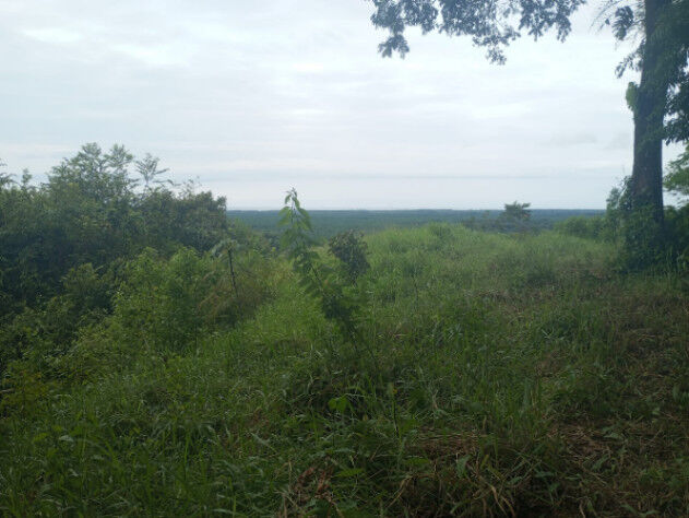 Finca 95 hectáreas a 15 minutos del centro de Quepos en Quepos, Puntarenas — $1,500,000