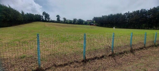 Lote amplio y plano con clima fresco ideal para vivienda o proyecto agrícola #26-1660 GS en San Nicolás, Cartago — $472,000