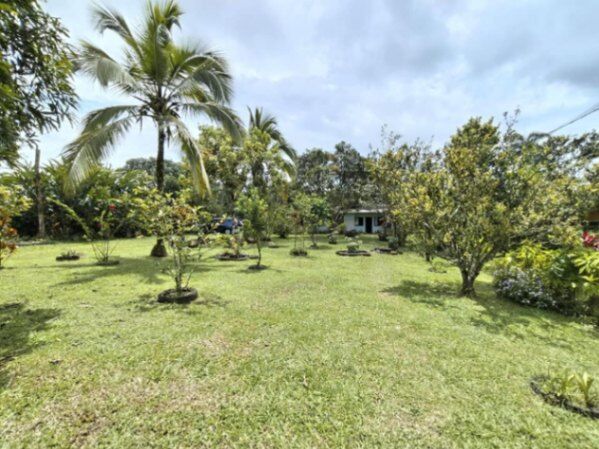 Beautiful property with house in Limoncito, Coto Brus, Puntarenas — ₡ 30 000 000