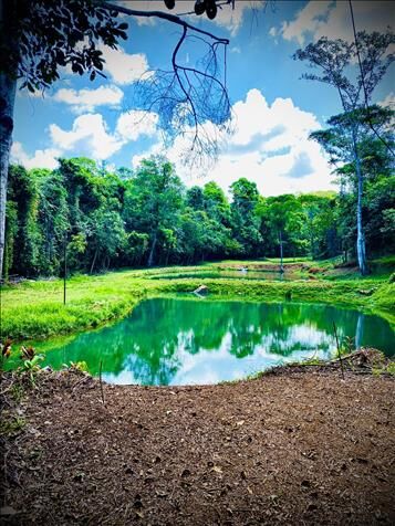 LAND FOR SALE THE TILAPIA PONDS HOUSES 14 HECT in Cajón, Pérez Zeledón, San José — $850,000