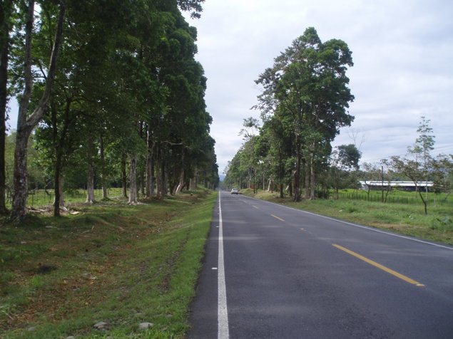 Finca Ganadera en  Las  Horquetas de Sarapiqui , Heredia  . in Las Horquetas, Sarapiquí, Heredia — $6,500,000