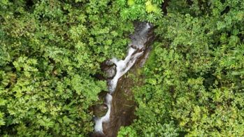 Finca en Venta Barú, Pérez Zeledón, San José