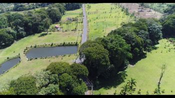 VENTA LOTES 5000m2 $70,000 QUINTAS LOS CEDROS, HORQUETAS SARAPIQUÍ en Las Horquetas, Sarapiquí, Heredia — $70,000 - Foto 5 de 9
