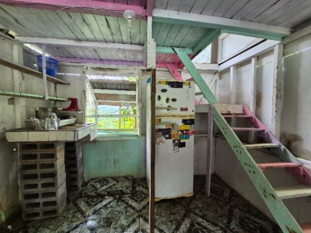 1/2 hectare en La Concepcion Platanares con luz y agua. in Platanares, Pérez Zeledón, San José — $30,000