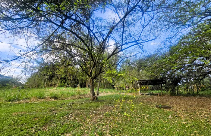Venta de Finca para Desarrolladores e Inversionistas con Agua Propia en Garita, Alajuela — $6,477,290 - Foto 3 de 15