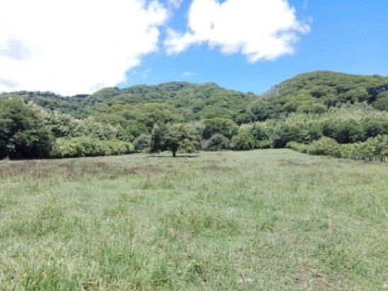 Venta de Espectacular Lote en Puntarenas / Mls. 26-981 OFC JB en Lepanto, Puntarenas — $600,000