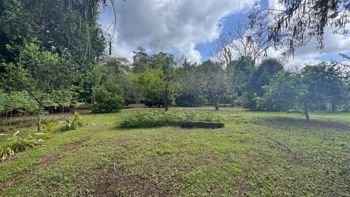 SE VENDE finca de cacao con casa, Jimenez de Pococí 28,512.59m2 in Jiménez, Pococí, Limón — 150 000 000 ₡ - Photo 4 of 6