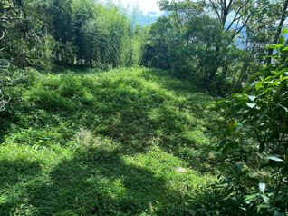 Terreno en Venta en Tarbaca un Entorno Natural y Tranquilo in Tarbaca, Aserrí, San José — $126,270 - Photo 5 of 13