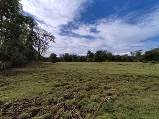 Vendo Finca Ganadera, Heredia, Sarapiquí. 5PVV9294333 en Las Horquetas, Sarapiquí, Heredia — $1,500,000 - Foto 4 de 21