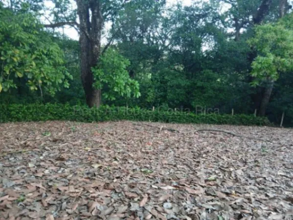 Venta de Lote en Curime de Nicoya, Guanacaste. RAH 26-1619 en Nicoya, Guanacaste — $129,000