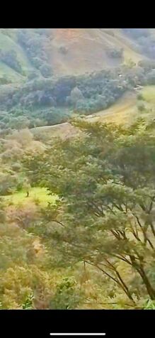 SE VENDE BELLA Y ÚTIL FINCA EN TABARCIA DE MORA.  en Tabarcia, Mora, San José — ₡ 250 000 000