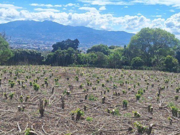 Venta de Lote en Barva-San Pablo-Heredia. RAH 26-1343 en San Pablo, Barva, Heredia — ₡ 150 000 000